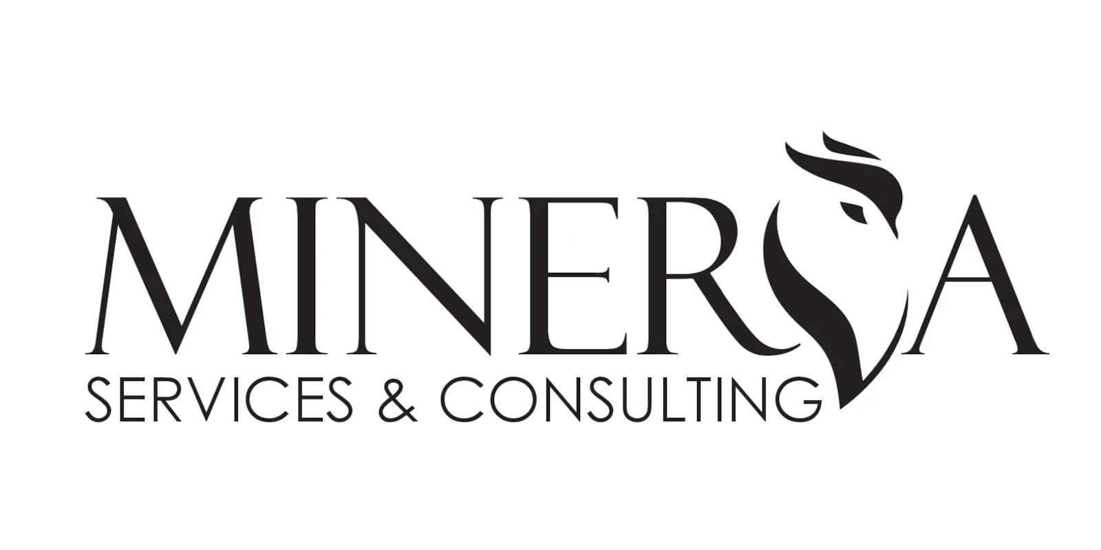 Minerva Consulting